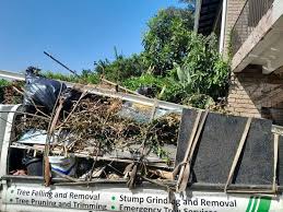 Best Office Cleanout  in Chamberlain, SD